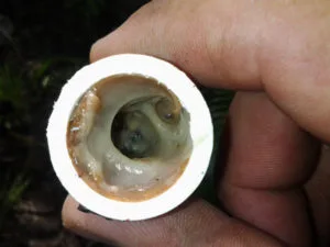 What Do I Do When My A/C Drain Line is Blocked